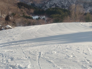250126080912865.JPG