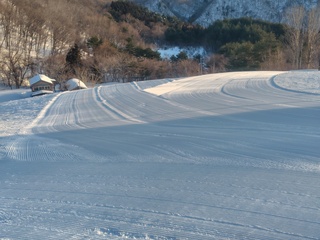 250202074245213.JPG