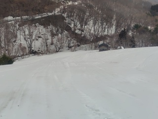250313083026673.JPG