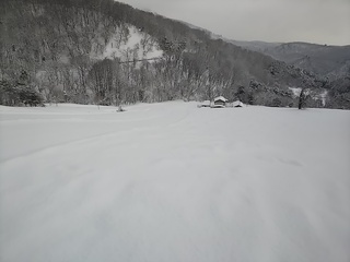 DSC_0080.JPG