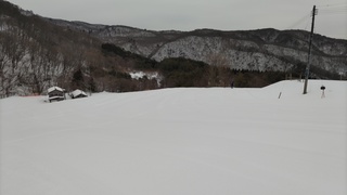 DSC_0243.JPG