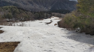 DSC_0307.JPG