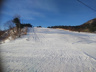 DSC_0798.JPG