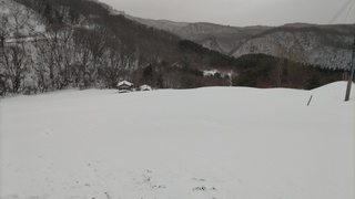 DSC_0848.JPG