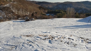 DSC_0918.JPG