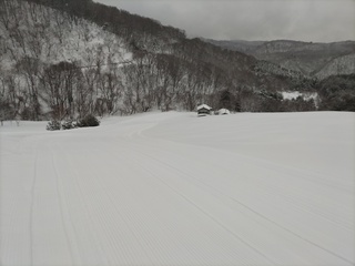 DSC_1017.JPG