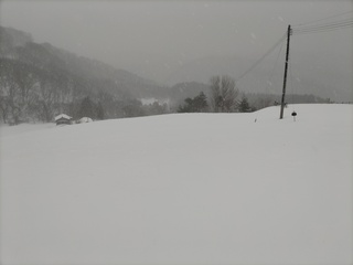 DSC_1019.JPG