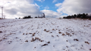 DSC_1456.jpg
