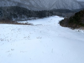 DSC_1602.JPG