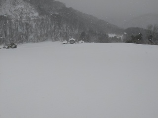 DSC_2171.JPG