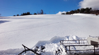 DSC_2210.jpg