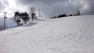 DSC_2294.jpg
