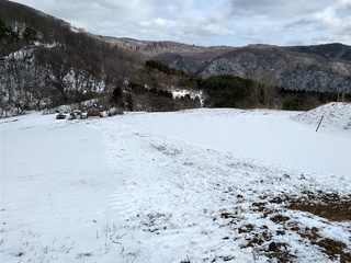 DSC_2314.JPG