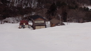 DSC_2466.jpg